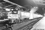 nishizaki-EF5815