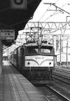 ohno-ef5850