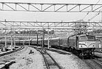 ohno-ef5857