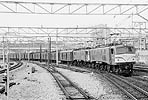 ohno-ef5891