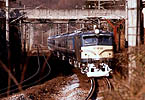 ohtani-ef58133