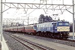packman-ef58116b