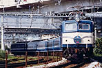 packman-EF58172