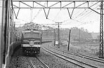 shizuhata-ef58143