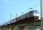 Mr.slim-EF58122