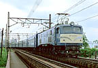 Mr.slim-EF58128