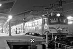 yamaguchi-ef58119