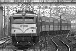 shizuhata-ef58153