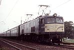 shizuhata-ef5811