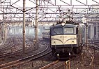 shizuhata-ef5812