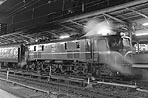 shizuhata-ef5860