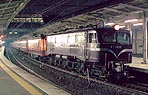 tankai-ef5861-shinasaro-edo