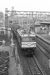 aomamushi-ef5876