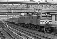 shimoda-EF5837