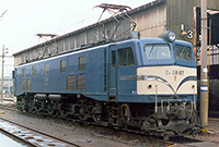shin-san-EF58127