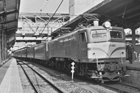 shin-san-ef58148