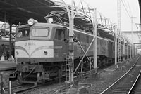 sugi-EF5810