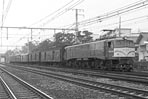 sugi-ef58101