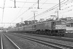 sugi-ef58103
