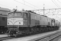 sugi-EF5810