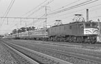 sugi-EF58111