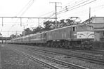 sugi-ef58112