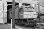 sugi-ef58113