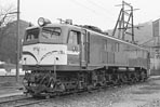 sugi-EF58118