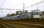 sugi-EF5812