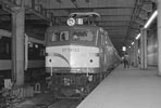sugi-EF58122