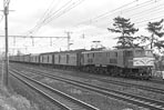sugi-EF58125