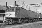 sugi-ef58128