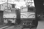 sugi-ef58128