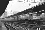 sugi-ef58129