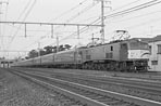 sugi-EF5813