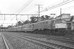 sugi-ef58140