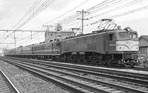 sugi-ef58145
