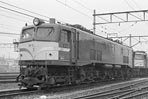 sugi-ef58145