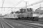 sugi-ef58145