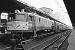 sugi-ef58145