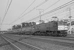 sugi-EF58150