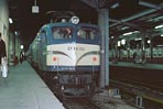 sugi-EF58152
