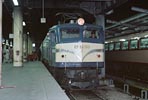 sugi-EF58153