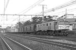 sugi-ef58157