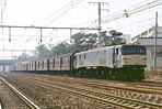 sugi-ef58157