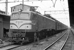 sugi-ef58157