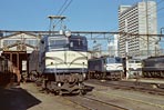 sugi-EF58158