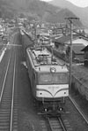 sugi-EF58158