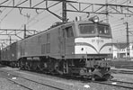 sugi-EF58159