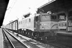 sugi-EF5815